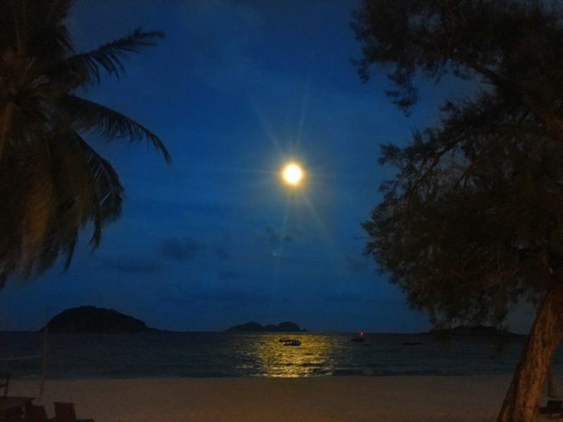 Scuba Diving Divemaster Diarys Fullmoon Malaysia Fullmoon Festival