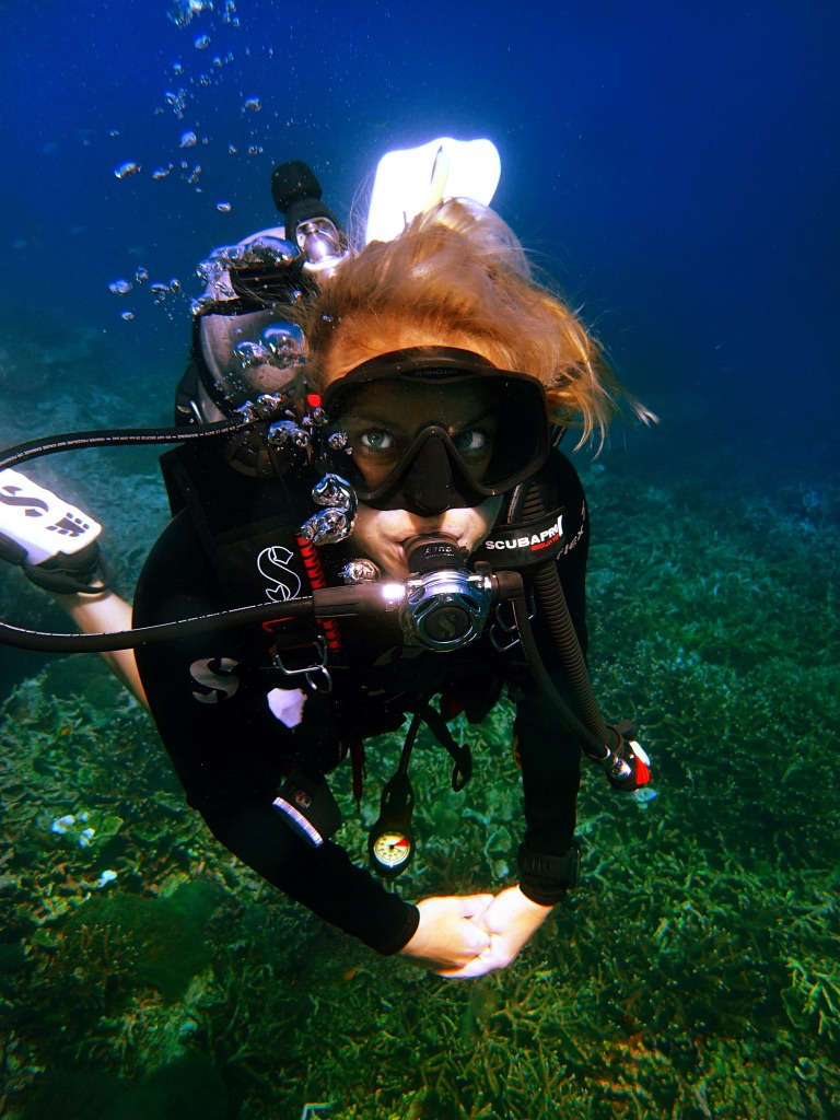 Scuba Diving Divemaster Diarys Vanessa Johnson