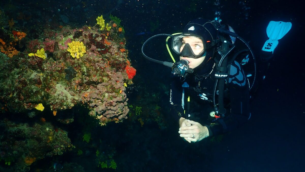 Unicorn-Divers-Dominik-Johnson-Underwaterphotography-Portfolio diver wall